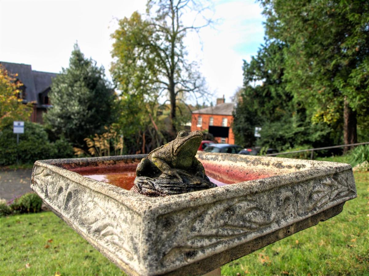 Torrington Hall St Albans Экстерьер фото